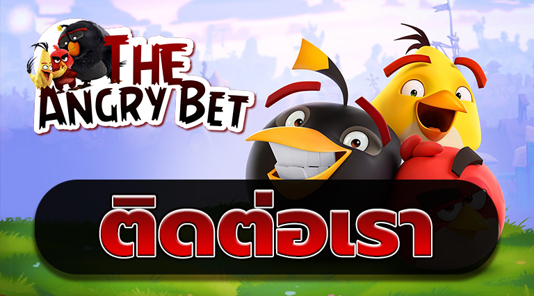 ติดต่อเรา